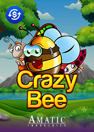 Crazy Bee