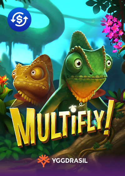 MultiFly!